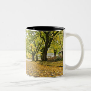 Caneca De Café Em Dois Tons Eastmoreland na opinião da estrada e de árvore d
