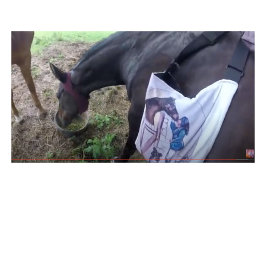 Caneca De Café Em Dois Tons Ela está se divertindo tanto!