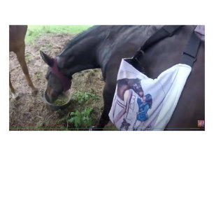 Caneca De Café Em Dois Tons Ela está se divertindo tanto!