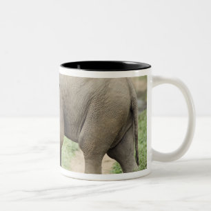 Caneca De Café Em Dois Tons Elefante bebê seguindo a mãe, Corbett