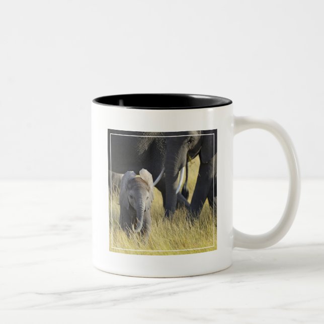 Caneca De Café Em Dois Tons Elefante do bebê (Direita)