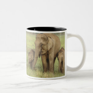 Caneca De Café Em Dois Tons Elefante Indiano Asiático e Filhotes