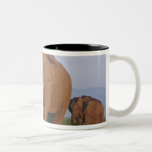 Caneca De Café Em Dois Tons Elefantes indianos na pastagem