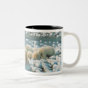 Caneca De Café Em Dois Tons Encosta Norte, Alasca. Ursos polares Ursus
