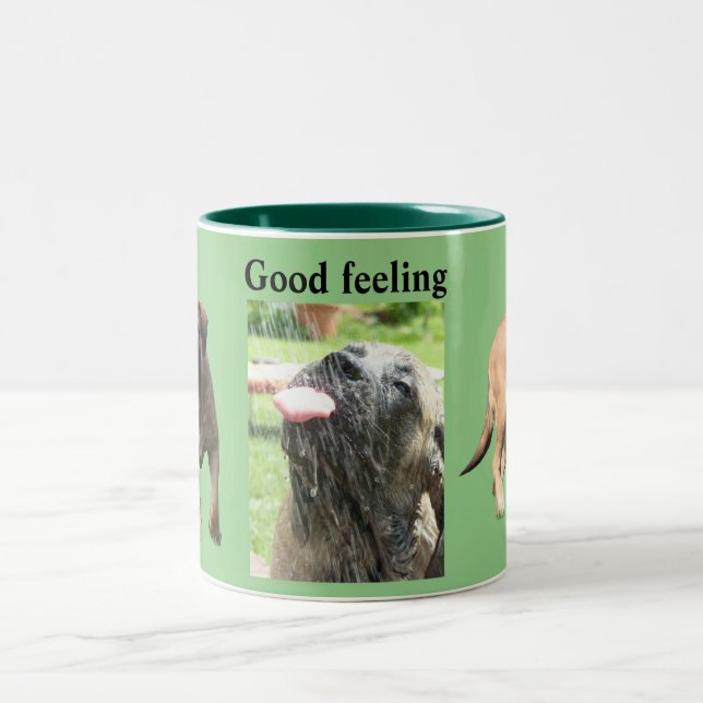 Caneca De Café Em Dois Tons English Mastiff gutes Gefühl  (Centro)