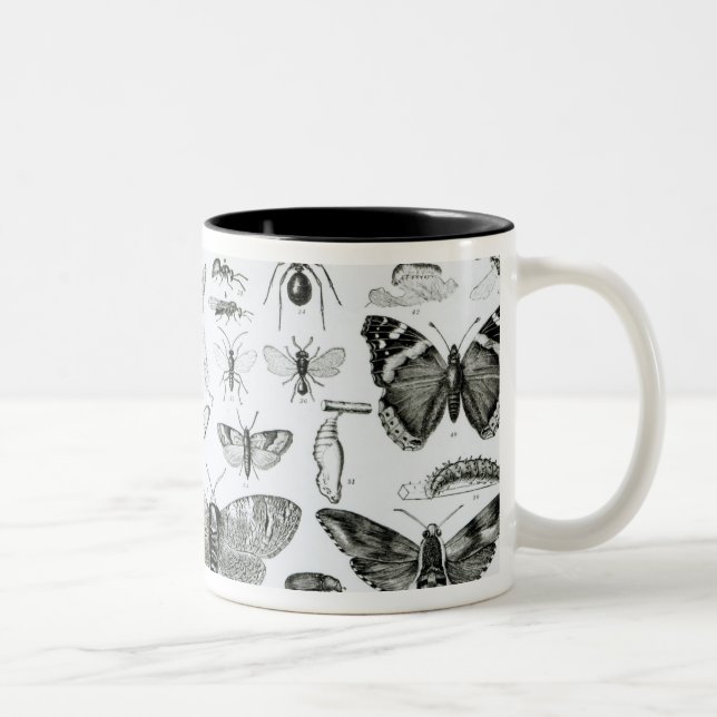 Caneca De Café Em Dois Tons Entomologia (Direita)