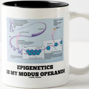 Caneca De Café Em Dois Tons Epigenética É O Meu Modus Operandi (Mecanismos)