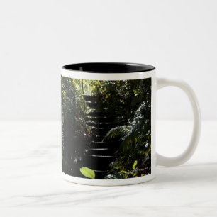 Caneca De Café Em Dois Tons Escadaria/passeio rústicos na floresta, luz solar
