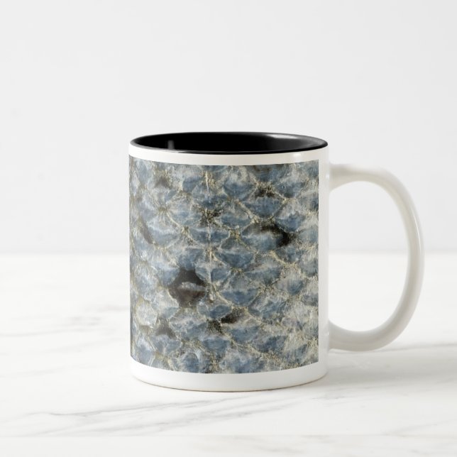 Caneca De Café Em Dois Tons Escalas de peixes 2 (Direita)