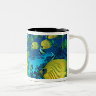 Caneca De Café Em Dois Tons Escola da natação dos peixes da borboleta no fun