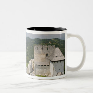 Caneca De Café Em Dois Tons ESLOVÊNIA, STAJERSKA Styria), Celje: Vista de Cid