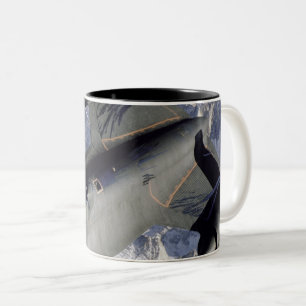 Caneca De Café Em Dois Tons Espaço bonito