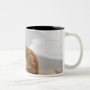 Caneca De Café Em Dois Tons espanha de nerja malaga a Andaluzia