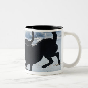 Caneca De Café Em Dois Tons espanha de tarifa cadiz a Andaluzia