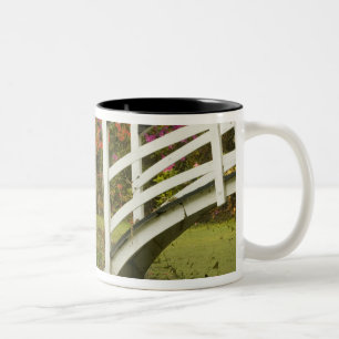 Caneca De Café Em Dois Tons Estados Unidos; Carolina do Sul; Charleston; 2