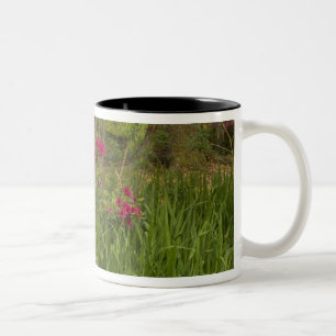 Caneca De Café Em Dois Tons Estados Unidos; Carolina do Sul; Charleston;4