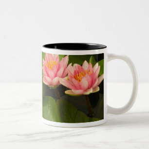 Caneca De Café Em Dois Tons Estados Unidos, DC, Washington, Kenilworth 4