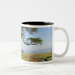Caneca De Café Em Dois Tons Estrada de terra primitiva e árvore de acácia, Lag