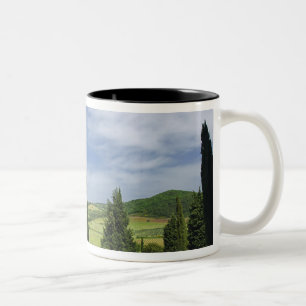 Caneca De Café Em Dois Tons Estrada rural curvando entre ciprestes em