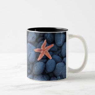 Caneca De Café Em Dois Tons Estrela do mar em rochas pretas ao longo da costa