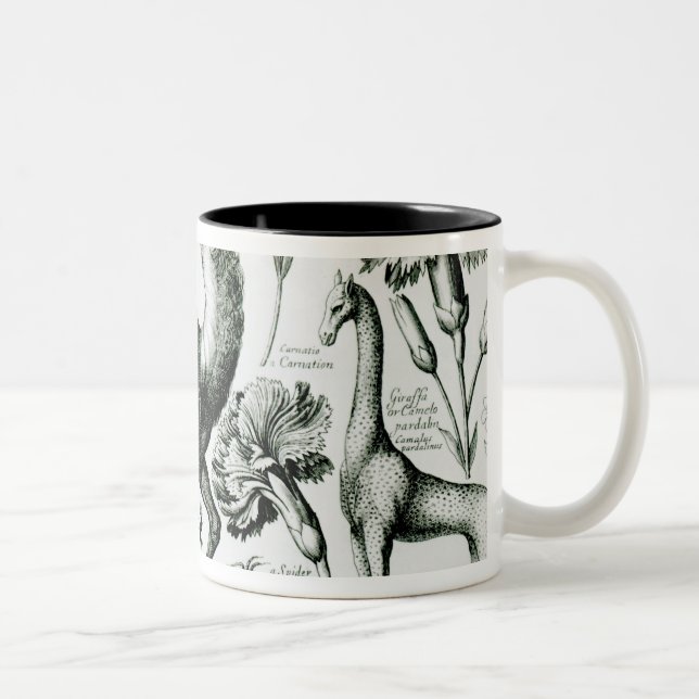 Caneca De Café Em Dois Tons Estudo dos animais e das flores, gravado (Direita)