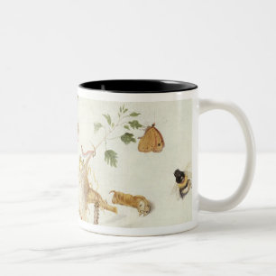 Caneca De Café Em Dois Tons Estudo dos insetos e das flores