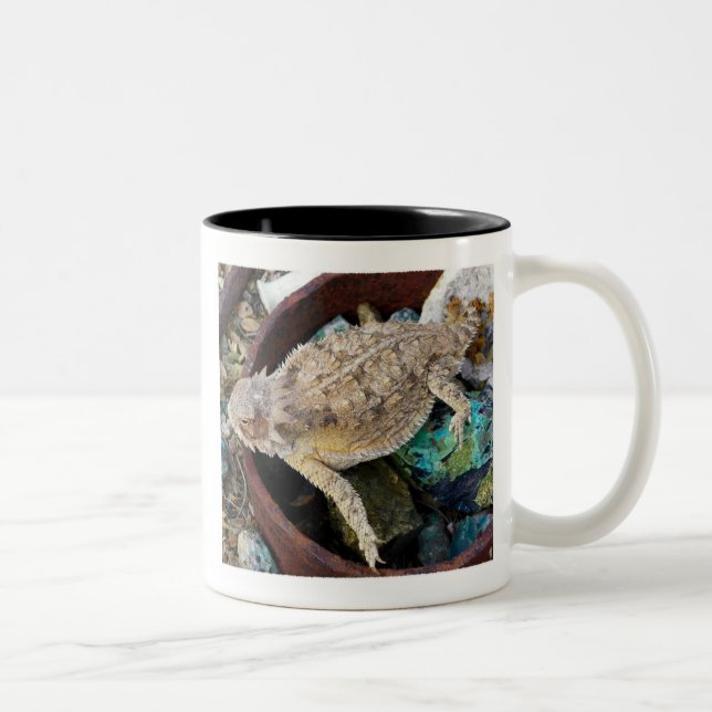 Caneca De Café Em Dois Tons "Eu ver um lagarto em uma rocha " (Direita)