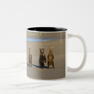 Caneca De Café Em Dois Tons EUA. Alasca. Filhotes de Urso Pardo Costeiro