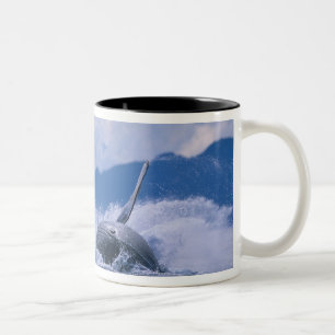 Caneca De Café Em Dois Tons EUA, Alasca, Floresta Nacional Tongass, Jubarte