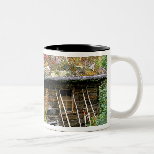Caneca De Café Em Dois Tons EUA, Alasca, Parque Nacional Denali, Kantishna. (Direita)