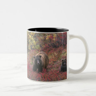 Caneca De Café Em Dois Tons EUA, Alasca, Parque Nacional Denali. Urso pardo
