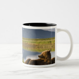 Caneca De Café Em Dois Tons EUA, Alasca, Parque Nacional Katmai, Ursos Pardo