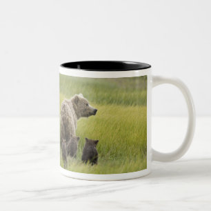 Caneca De Café Em Dois Tons EUA, Alasca, Parque Nacional Lake Clark. Urso-pard