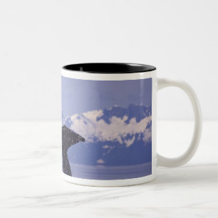 Caneca De Café Em Dois Tons EUA, Alasca, Passagem Interna Baleia jubarte