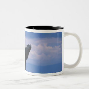 Caneca De Café Em Dois Tons EUA, Alaska, Floresta Nacional de Tongass, Humpbac