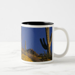 Caneca De Café Em Dois Tons EUA, Arizona, Organ Pipe Cactus National 2