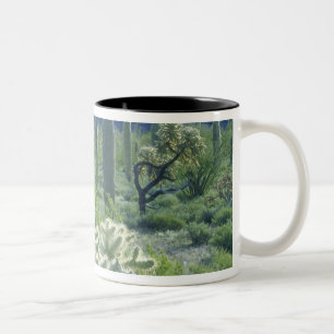Caneca De Café Em Dois Tons EUA, Arizona, Parque Nacional do Cacto Organ Pipe