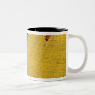 Caneca De Café Em Dois Tons EUA, Arizona, Val Vista. Balões de ar quente sobem