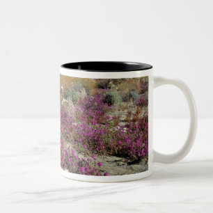 Caneca De Café Em Dois Tons EUA, Califórnia, Anza-Borrego DSP. Duna ao anoitec
