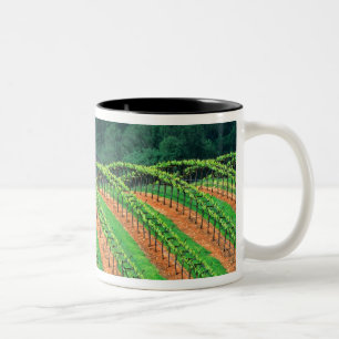 Caneca De Café Em Dois Tons EUA, Califórnia, Condado de Mendocino, uma emparri