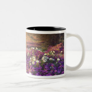 Caneca De Café Em Dois Tons EUA, Califórnia, Parque Estadual do Deserto de Anz