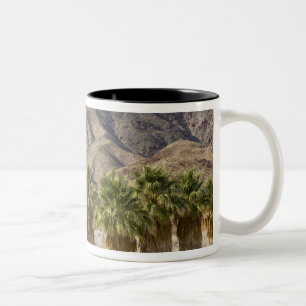 Caneca De Café Em Dois Tons EUA, Califórnia, Parque Estadual do Deserto de Anz