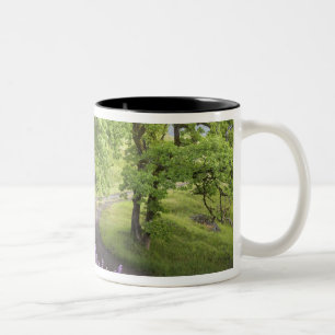 Caneca De Café Em Dois Tons EUA, Califórnia, Parque Nacional Redwood. Sujeira