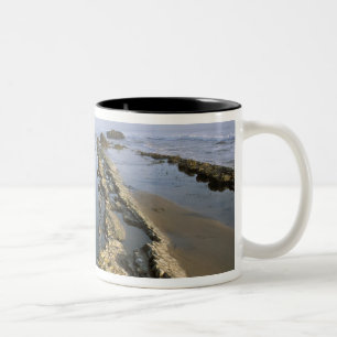 Caneca De Café Em Dois Tons EUA, Califórnia, Santa Bárbara, Praia de Henry.