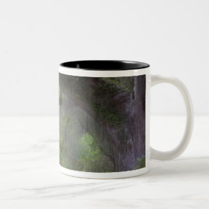 Caneca De Café Em Dois Tons EUA, Carolina do Sul, Jardins Magnolia.