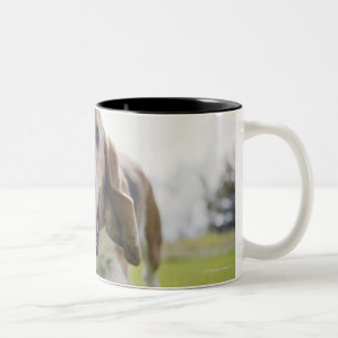 Caneca De Café Em Dois Tons EUA, Colorado, cão curioso que anda para