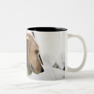 Caneca De Café Em Dois Tons EUA, Colorado, cão que olha através da janela de