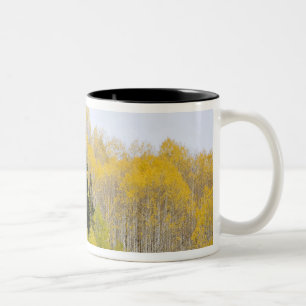 Caneca De Café Em Dois Tons EUA, Colorado, Floresta Nacional de Gunnison, ao l