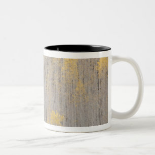 Caneca De Café Em Dois Tons EUA, Colorado, Floresta Nacional White River.