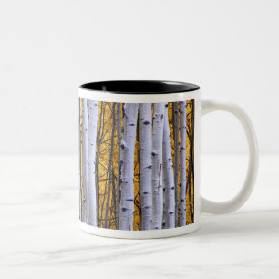 Caneca De Café Em Dois Tons EUA, Colorado, Montanhas Rochosas. Cena íntima